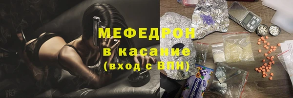 дживик Няндома
