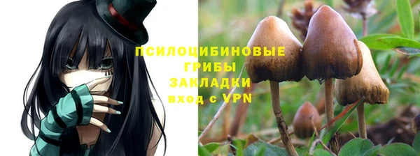 ALPHA PVP Нязепетровск