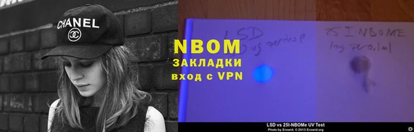 дживик Няндома