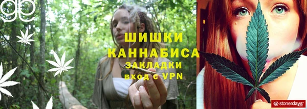 дживик Няндома