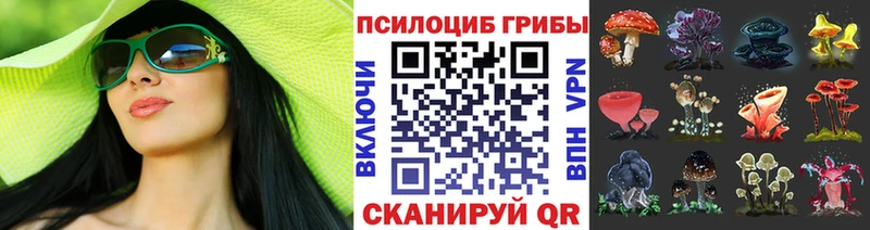 kraken вход  Арсеньев  Псилоцибиновые грибы GOLDEN TEACHER 